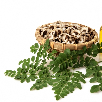 DẦU CHÙM NGÂY -  MORINGA OIL